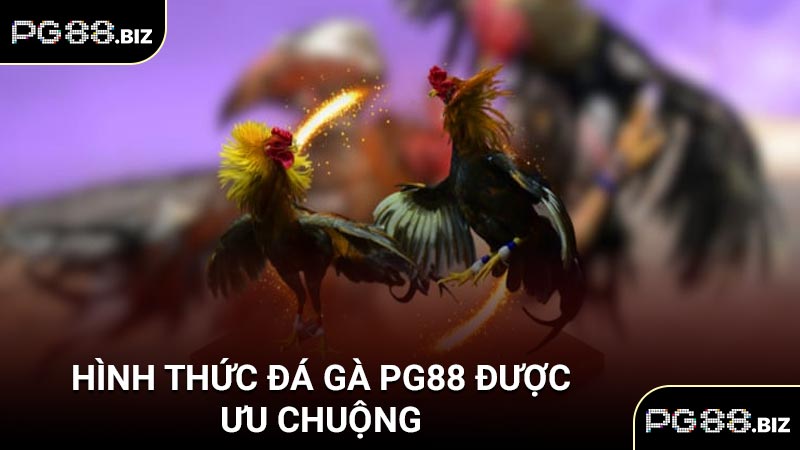 Hình thức đá gà PG88 được ưu chuộng