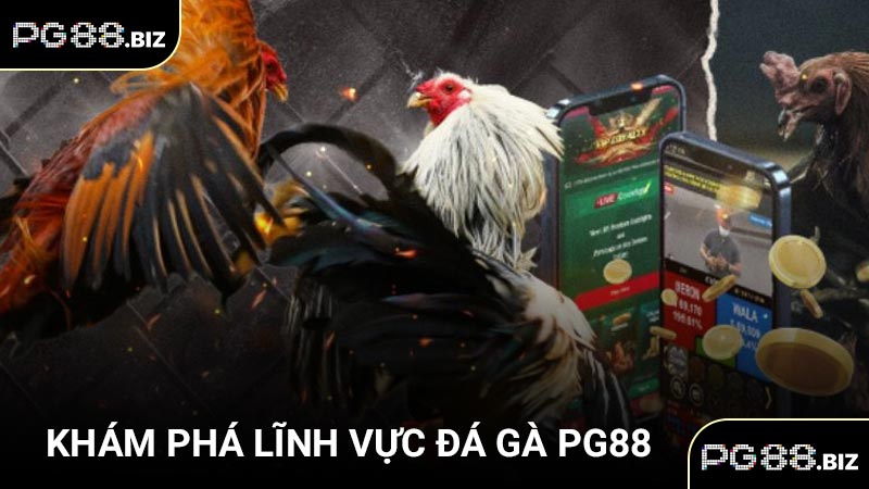 Khám phá lĩnh vực đá gà PG88