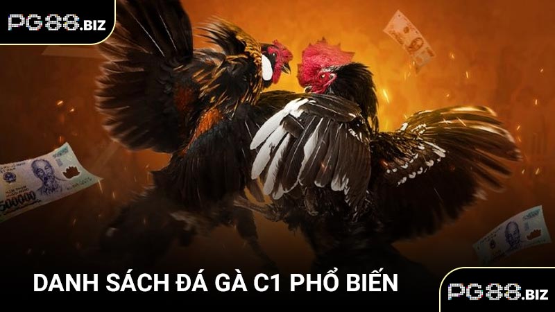 Danh sách đá gà C1 phổ biến