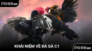Khái niệm về đá gà C1